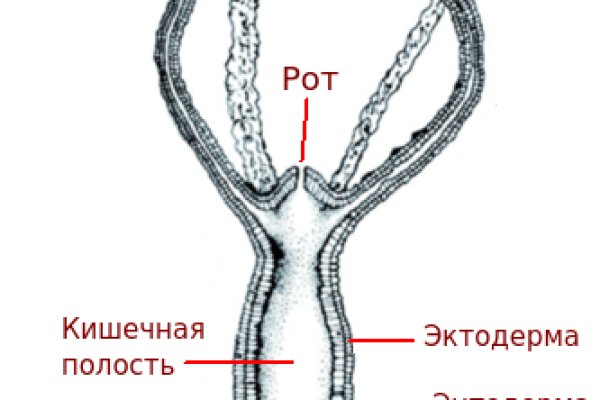 Найти зеркало кракена