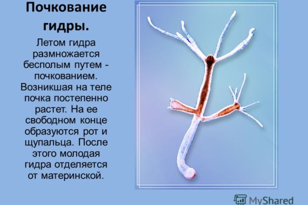 Ссылка на кракен реальная